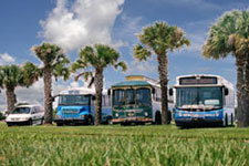 Array of buses